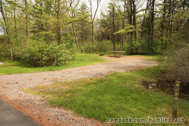 Campsite Photo of Site 120 at Hamlin Beach State Park, New York - Looking at Site from Road Sign Visible