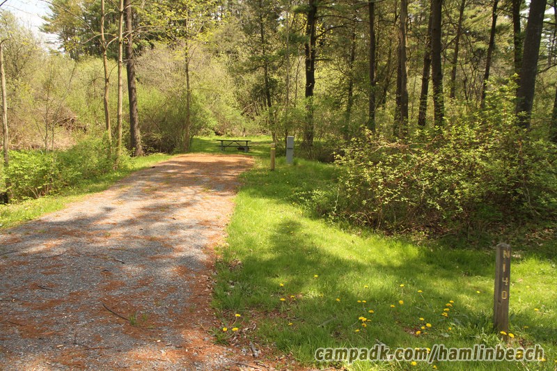 Campsite Photo of Site 140 at Hamlin Beach State Park, New York - Looking at Site from Road Sign Visible
