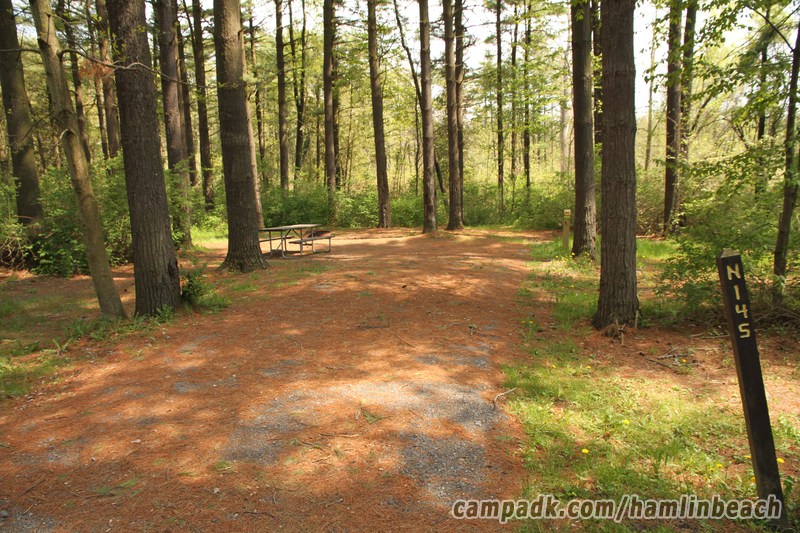 Campsite Photo of Site 145 at Hamlin Beach State Park, New York - Looking at Site from Road Sign Visible