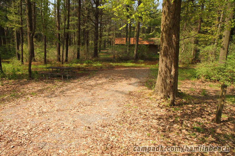 Campsite Photo of Site 160 at Hamlin Beach State Park, New York - Looking at Site from Road Sign Visible