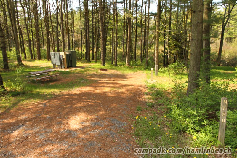Campsite Photo of Site 180 at Hamlin Beach State Park, New York - Looking at Site from Road Sign Visible