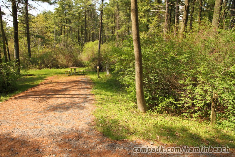 Campsite Photo of Site 185 at Hamlin Beach State Park, New York - Looking at Site from Road Sign Visible