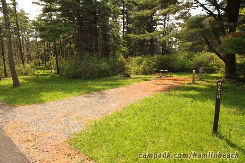 Campsite Photo of Site 200 at Hamlin Beach State Park, New York - Looking at Site from Road Sign Visible