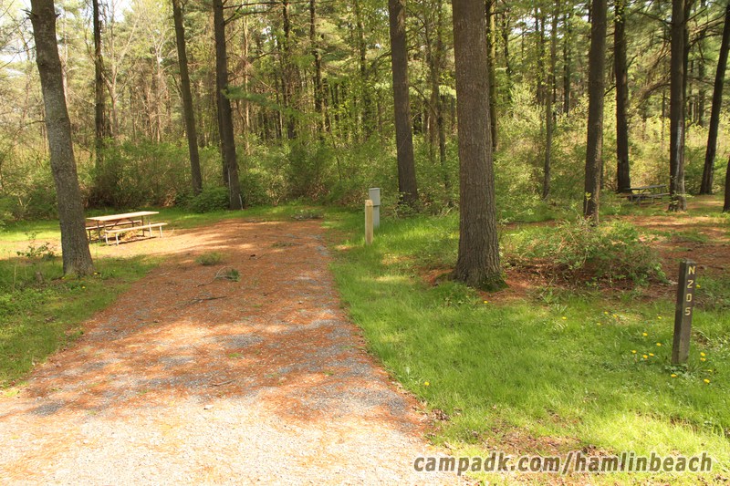Campsite Photo of Site 205 at Hamlin Beach State Park, New York - Looking at Site from Road Sign Visible