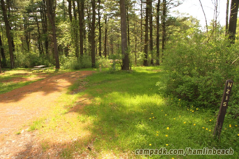 Campsite Photo of Site 215 at Hamlin Beach State Park, New York - Looking at Site from Road Sign Visible