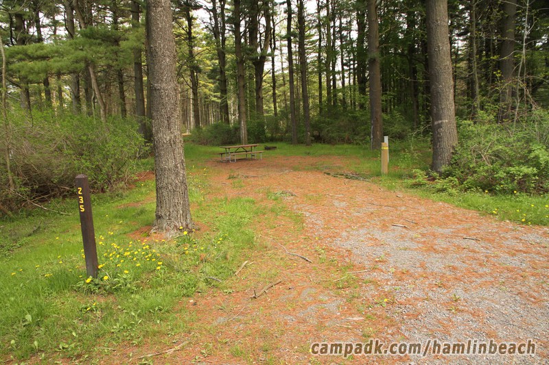 Campsite Photo of Site 235 at Hamlin Beach State Park, New York - Looking at Site from Road Sign Visible