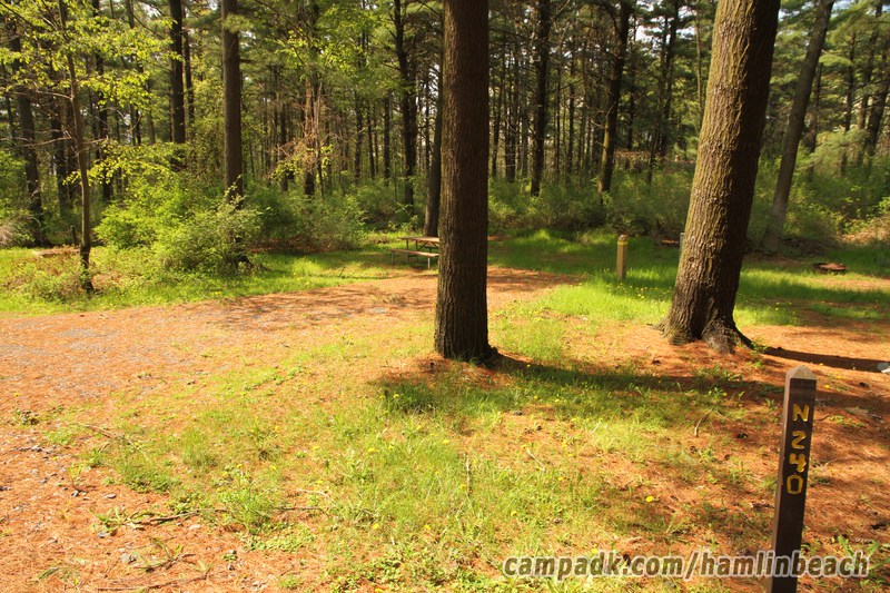 Campsite Photo of Site 240 at Hamlin Beach State Park, New York - Looking at Site from Road Sign Visible