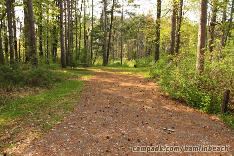 Campsite Photo of Site 250 at Hamlin Beach State Park, New York - Looking at Site from Road Sign Visible