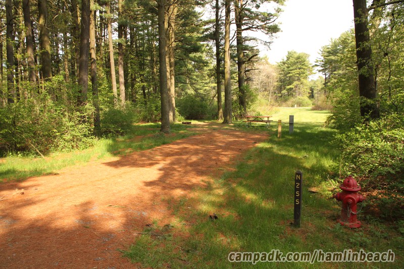Campsite Photo of Site 255 at Hamlin Beach State Park, New York - Looking at Site from Road Sign Visible