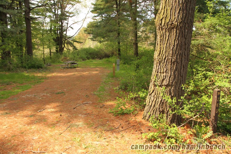 Campsite Photo of Site 260 at Hamlin Beach State Park, New York - Looking at Site from Road Sign Visible