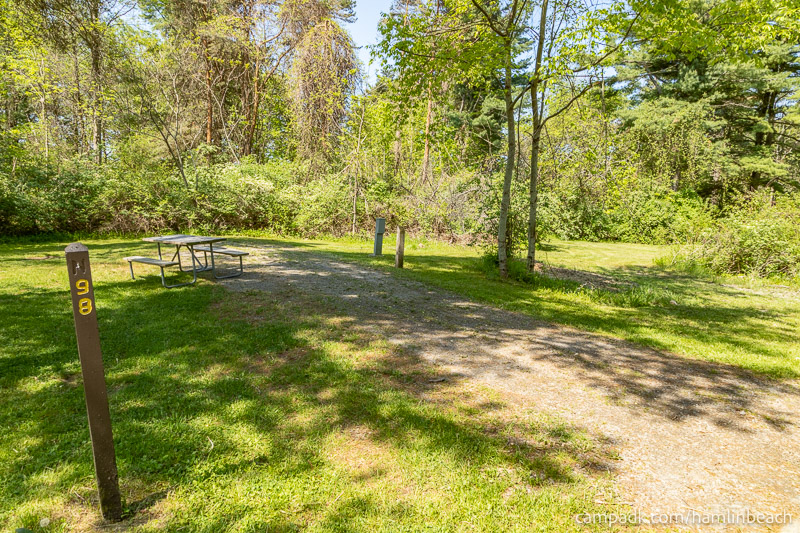 Campsite Photo of Site 98 at Hamlin Beach State Park, New York - Looking at Site from Road Sign Visible