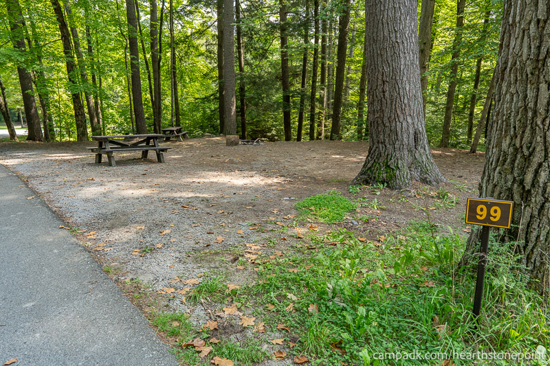 Campsite Photo of Site 99 at Hearthstone Point Campground, New York - Looking at Site from Road Sign Visible