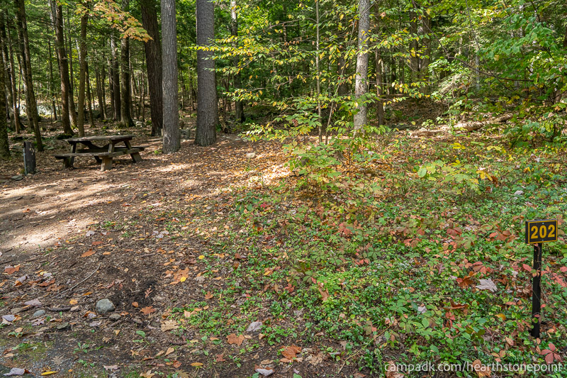 Campsite Photo of Site 202 at Hearthstone Point Campground, New York - Looking at Site from Road Sign Visible