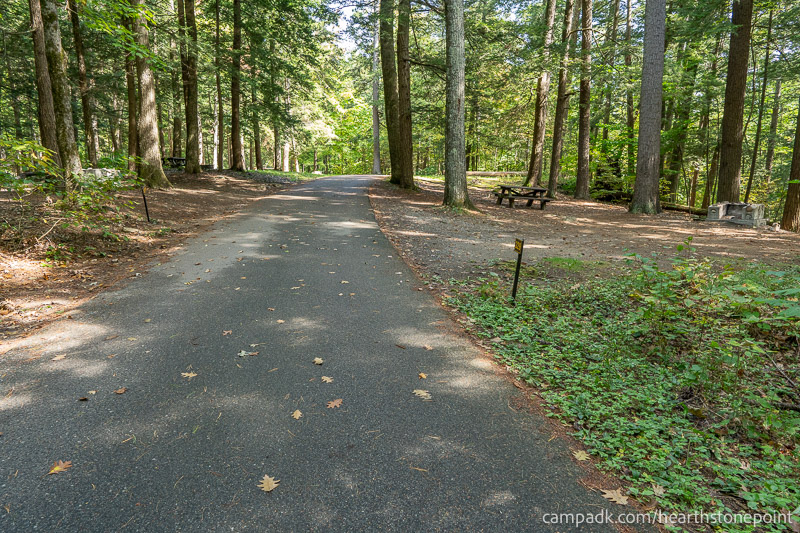 Campsite Photo of Site 229 at Hearthstone Point Campground, New York - Looking at Site from Road Sign Visible
