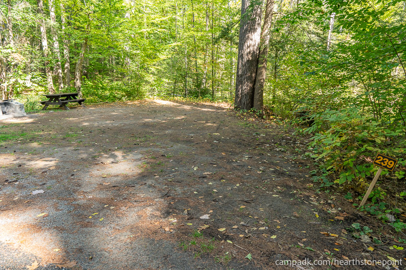 Campsite Photo of Site 239 at Hearthstone Point Campground, New York - Looking at Site from Road Sign Visible