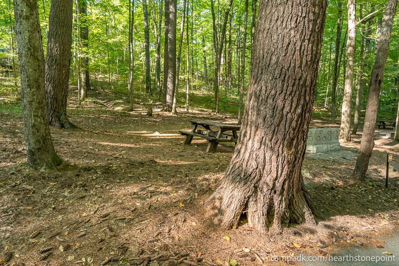 Campsite Photo of Site 183 at Hearthstone Point Campground, New York - Looking at Site from Road Sign Visible