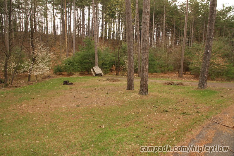 Campsite Photo of Site 100 at Higley Flow State Park, New York - Looking at Site from Road Sign Visible