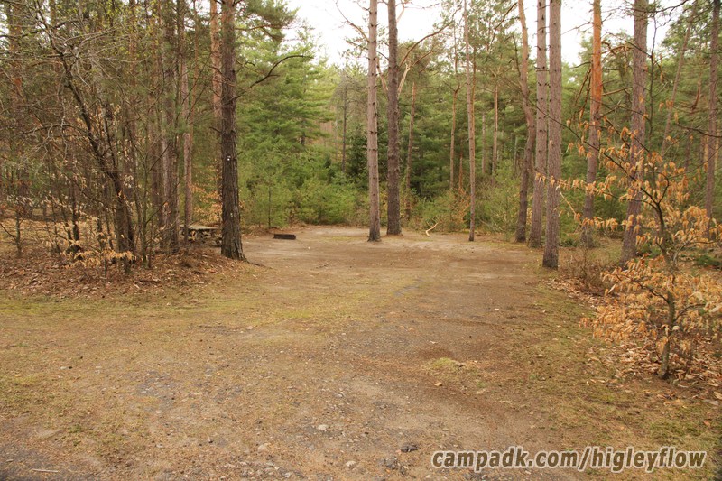 Campsite Photo of Site 110 at Higley Flow State Park, New York - Looking at Site from Road Sign Visible