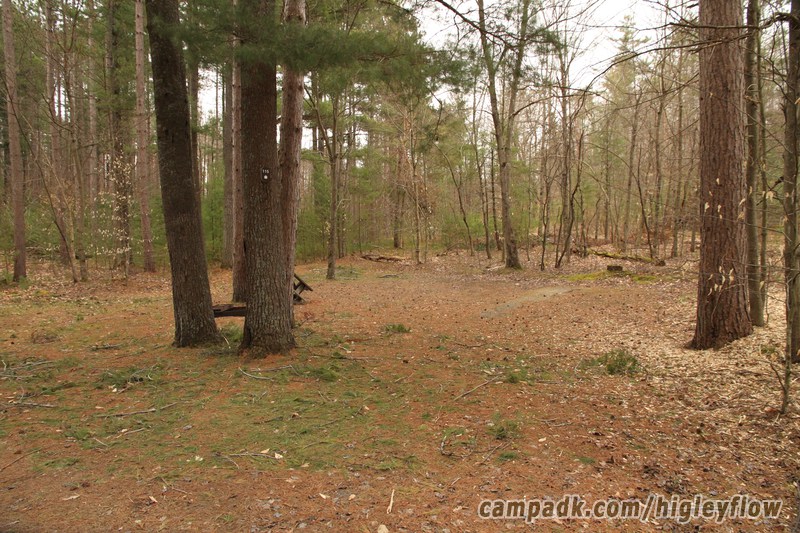 Campsite Photo of Site 115 at Higley Flow State Park, New York - Looking at Site from Road Sign Visible