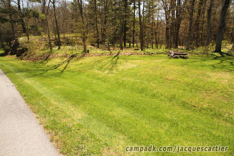 Campsite Photo of Site 35 at Jacques Cartier State Park, New York - Looking at Site from Road Sign Visible