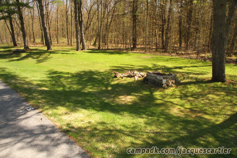 Campsite Photo of Site 15 at Jacques Cartier State Park, New York - Looking at Site from Road Sign Visible
