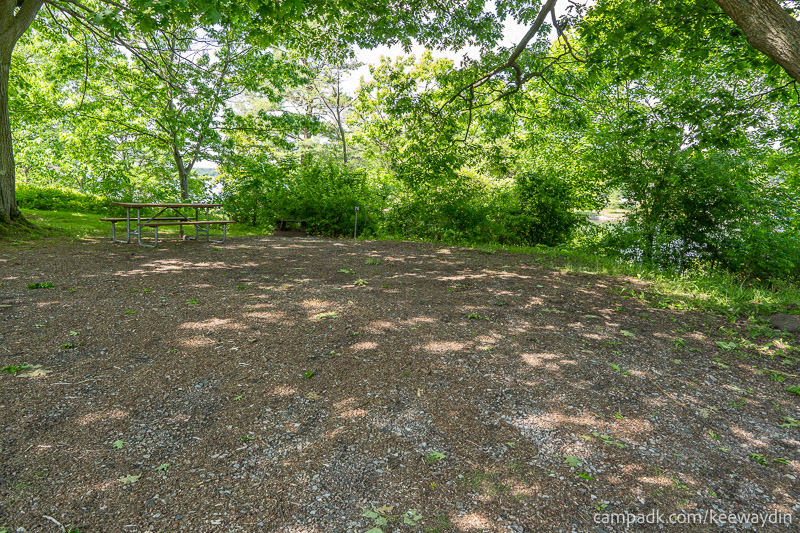 Campsite Photo of Site 76 at Keewaydin State Park, New York - Looking at Site from Road Sign Visible