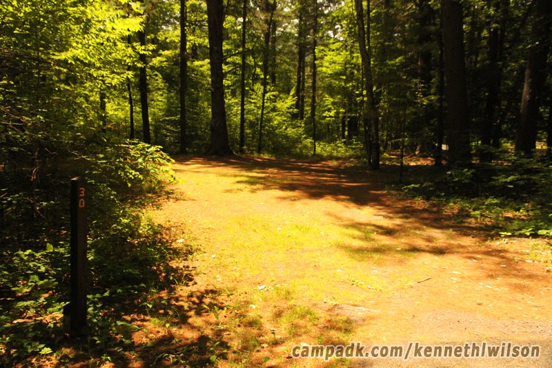 Campsite Photo of Site 30 at Kenneth L Wilson Campground, New York - Looking at Site from Road Sign Visible