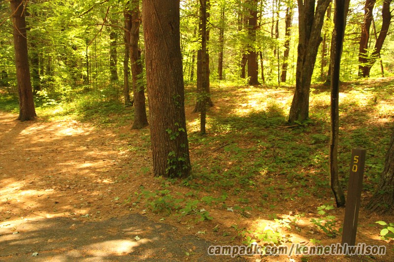 Campsite Photo of Site 50 at Kenneth L Wilson Campground, New York - Looking at Site from Road Sign Visible