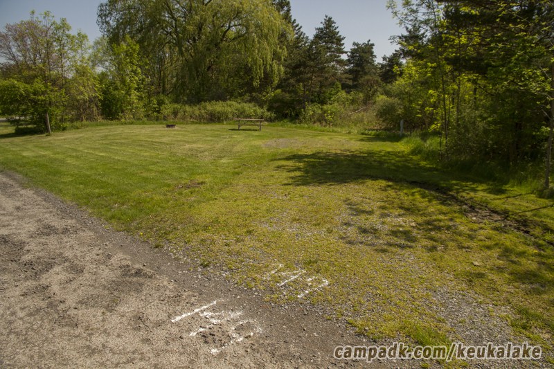 Campsite Photo of Site 150 at Keuka Lake State Park, New York - Looking at Site from Road Sign Visible