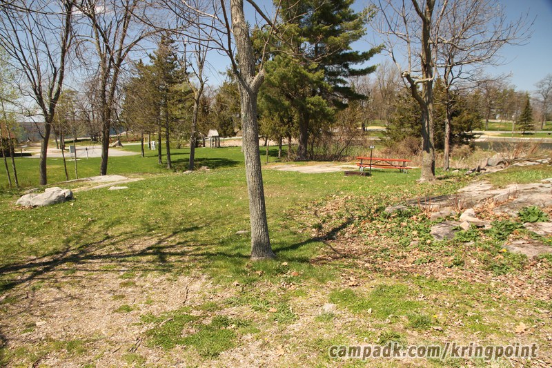 Campsite Photo of Site 84 at Kring Point State Park, New York - Looking at Site from Road Sign Visible