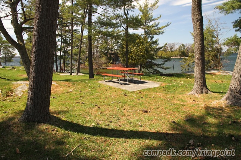 Campsite Photo of Site 58 at Kring Point State Park, New York - Looking at Site from Road Sign Visible