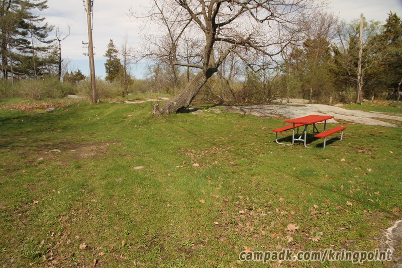 Campsite Photo of Site 5 at Kring Point State Park, New York - Looking at Site from Road Sign Visible