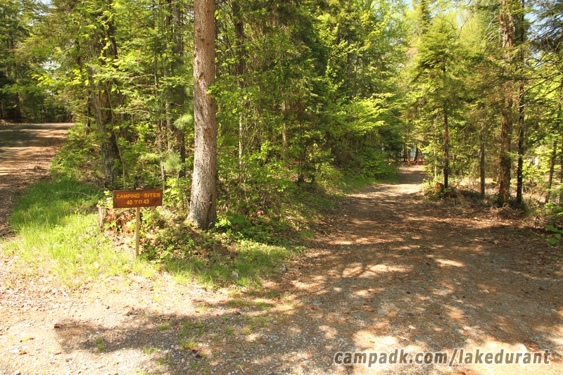 Campsite Photo of Site 40 at Lake Durant Campground, New York - Looking at Site from Road Sign Visible