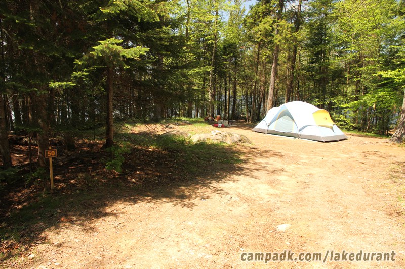 Campsite Photo of Site 50 at Lake Durant Campground, New York - Looking at Site from Road Sign Visible