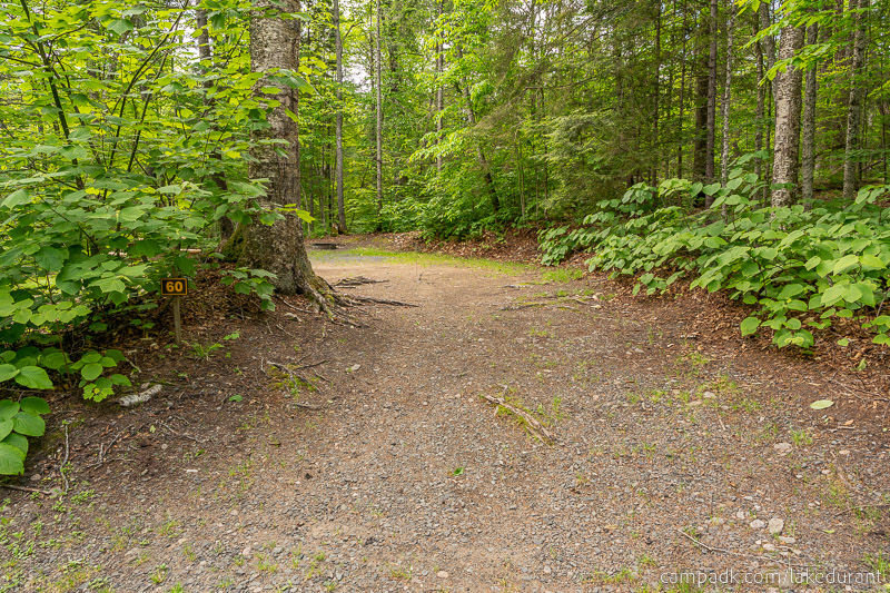 Campsite Photo of Site 60 at Lake Durant Campground, New York - Looking at Site from Road Sign Visible