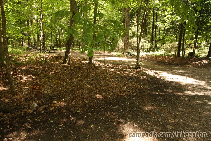 Campsite Photo of Site 90 at Lake Eaton Campground, New York - Looking at Site from Road Sign Visible