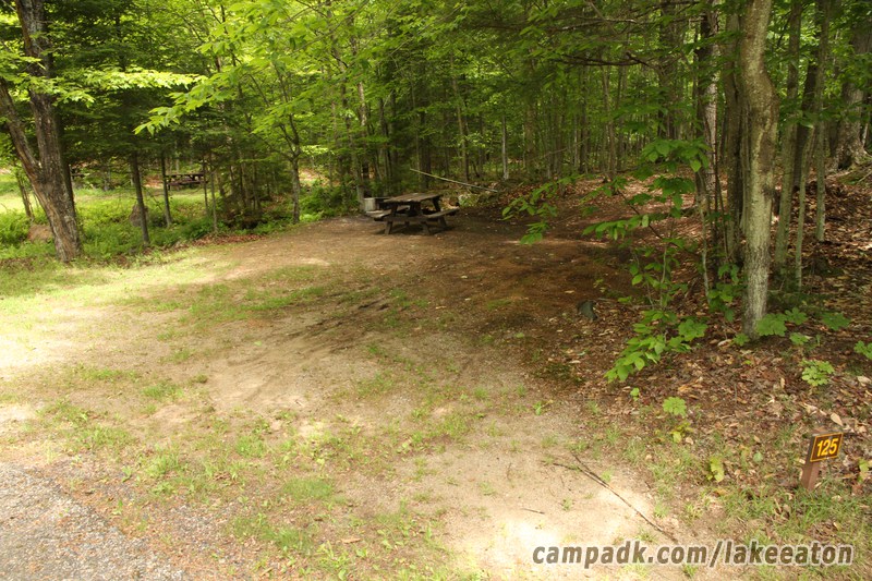 Campsite Photo of Site 125 at Lake Eaton Campground, New York - Looking at Site from Road Sign Visible