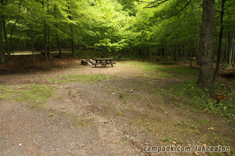 Campsite Photo of Site 130 at Lake Eaton Campground, New York - Looking at Site from Road Sign Visible