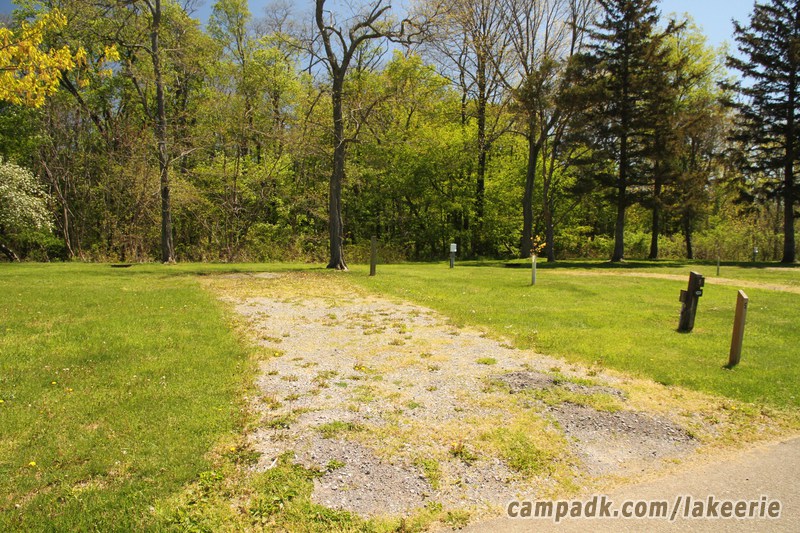 Campsite Photo of Site 5 at Lake Erie State Park, New York - Looking at Site from Road Sign Visible