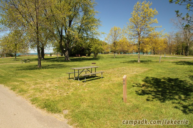 Campsite Photo of Site 38 at Lake Erie State Park, New York - Looking at Site from Road Sign Visible