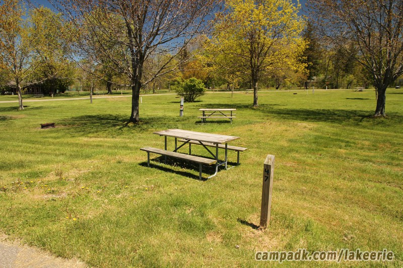 Campsite Photo of Site 47 at Lake Erie State Park, New York - Looking at Site from Road Sign Visible