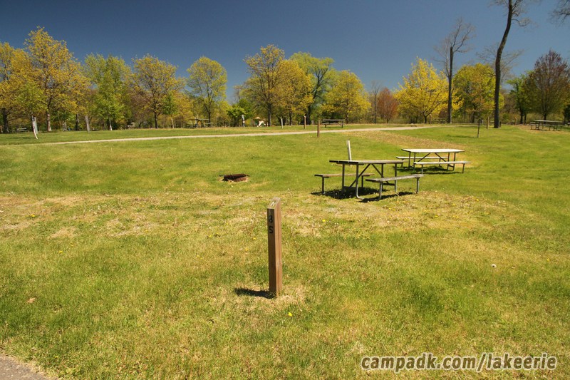 Campsite Photo of Site 85 at Lake Erie State Park, New York - Looking at Site from Road Sign Visible