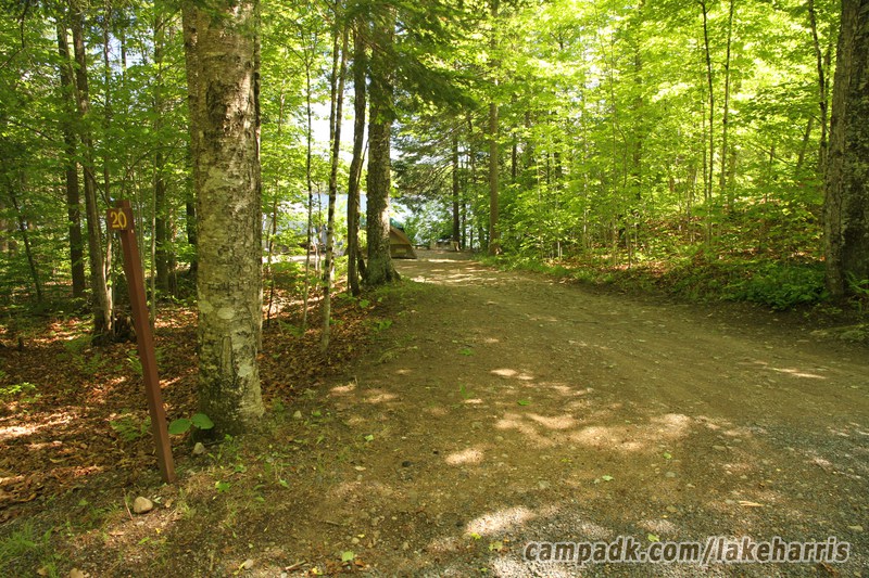 Campsite Photo of Site 20 at Lake Harris Campground, New York - Looking at Site from Road Sign Visible