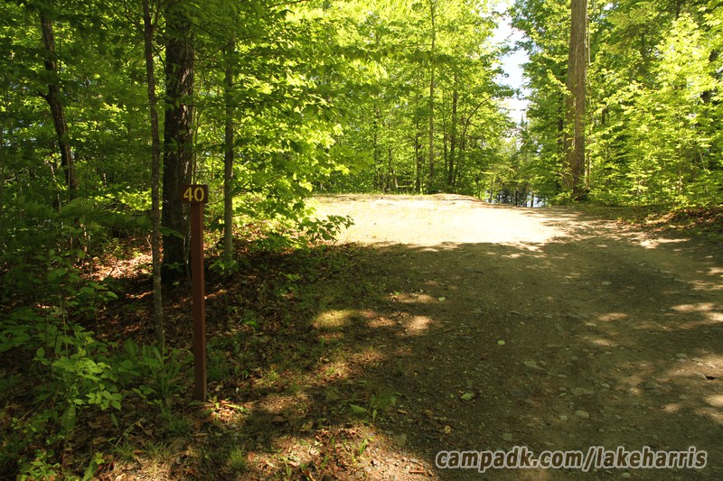 Campsite Photo of Site 40 at Lake Harris Campground, New York - Looking at Site from Road Sign Visible