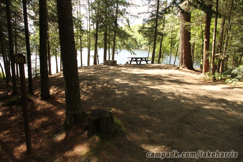 Campsite Photo of Site 50 at Lake Harris Campground, New York - Looking at Site from Road Sign Visible