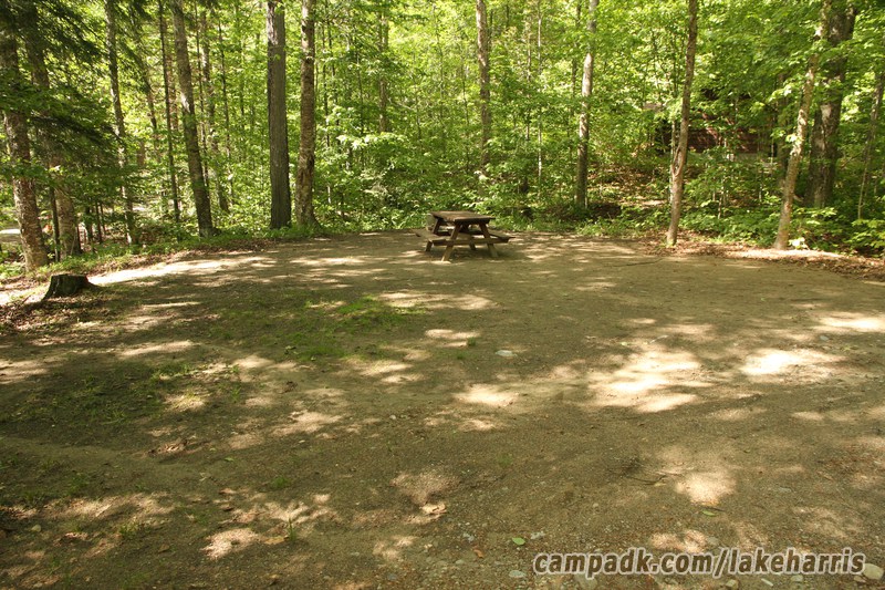 Campsite Photo of Site 61 at Lake Harris Campground, New York - Looking at Site from Road Sign Visible