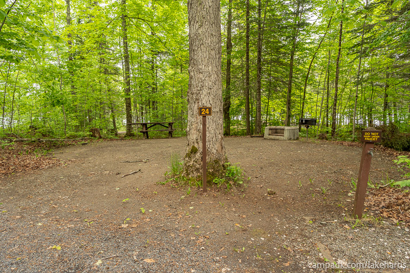 Campsite Photo of Site 24 at Lake Harris Campground, New York - Looking at Site from Road Sign Visible