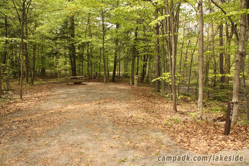 Campsite Photo of Site C29 at Lakeside State Park, New York - Looking at Site from Road Sign Visible