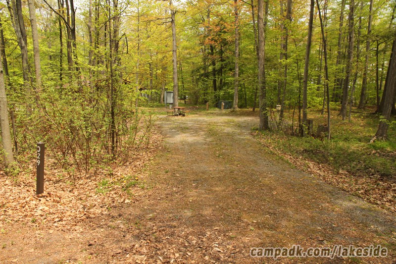 Campsite Photo of Site D29 at Lakeside State Park, New York - Looking at Site from Road Sign Visible