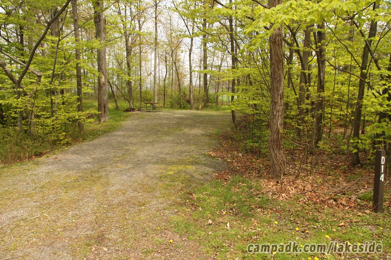 Campsite Photo of Site D14 at Lakeside State Park, New York - Looking at Site from Road Sign Visible